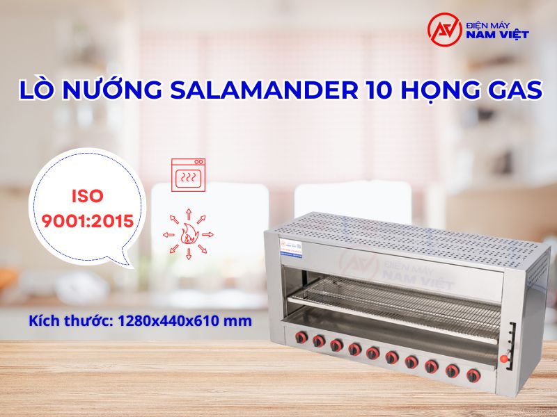 Lò nướng salamander 10 họng