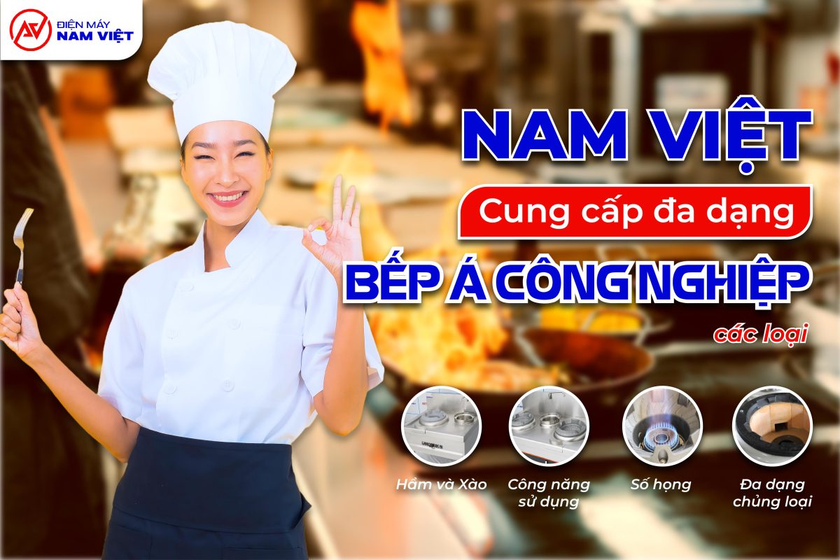 Điện máy Nam Việt cung cấp đa dạng các loại bếp Á