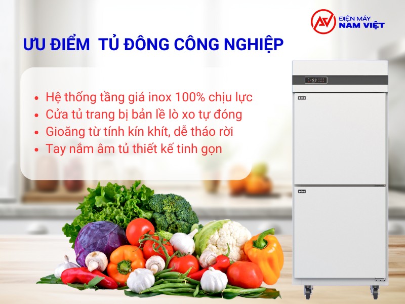 Các tiêu chí cần cân nhắc khi chọn tủ đông công nghiệp