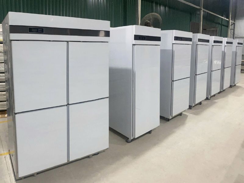 Mẫu tủ đông hiện đại tại nam việt tại Nam Việt